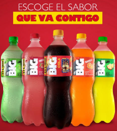 BIG SURTIDA 2.5LT $1 X6