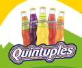 QUINTUPLES SURTI X12